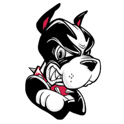 Boston University Terriers