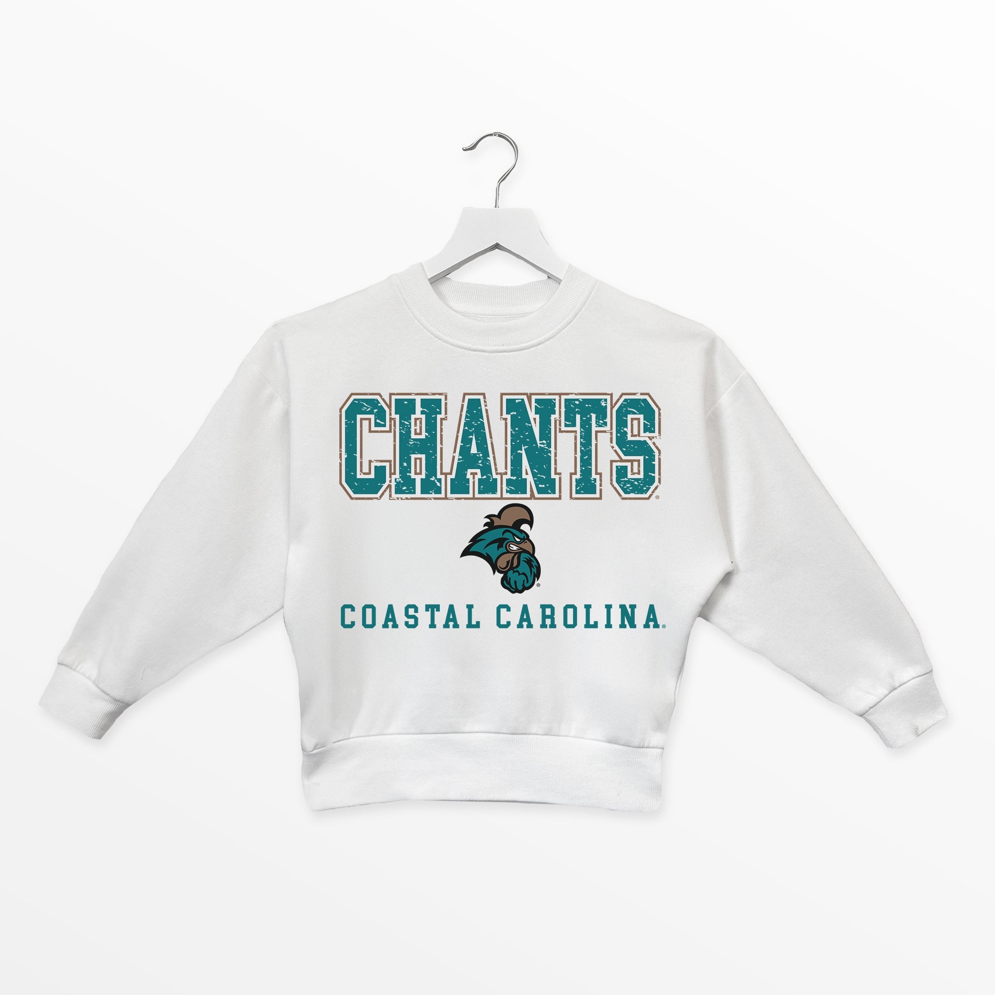 COASTAL CAROLINA CHANTICLEERS FREESTYLE YOUTH PREMIUM FLEECE SWEATSHIRT