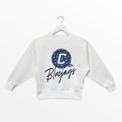 CREIGHTON BLUEJAYS WILD BREAKTHROUGH YOUTH PREMIUM FLEECE SWEATSHIRT