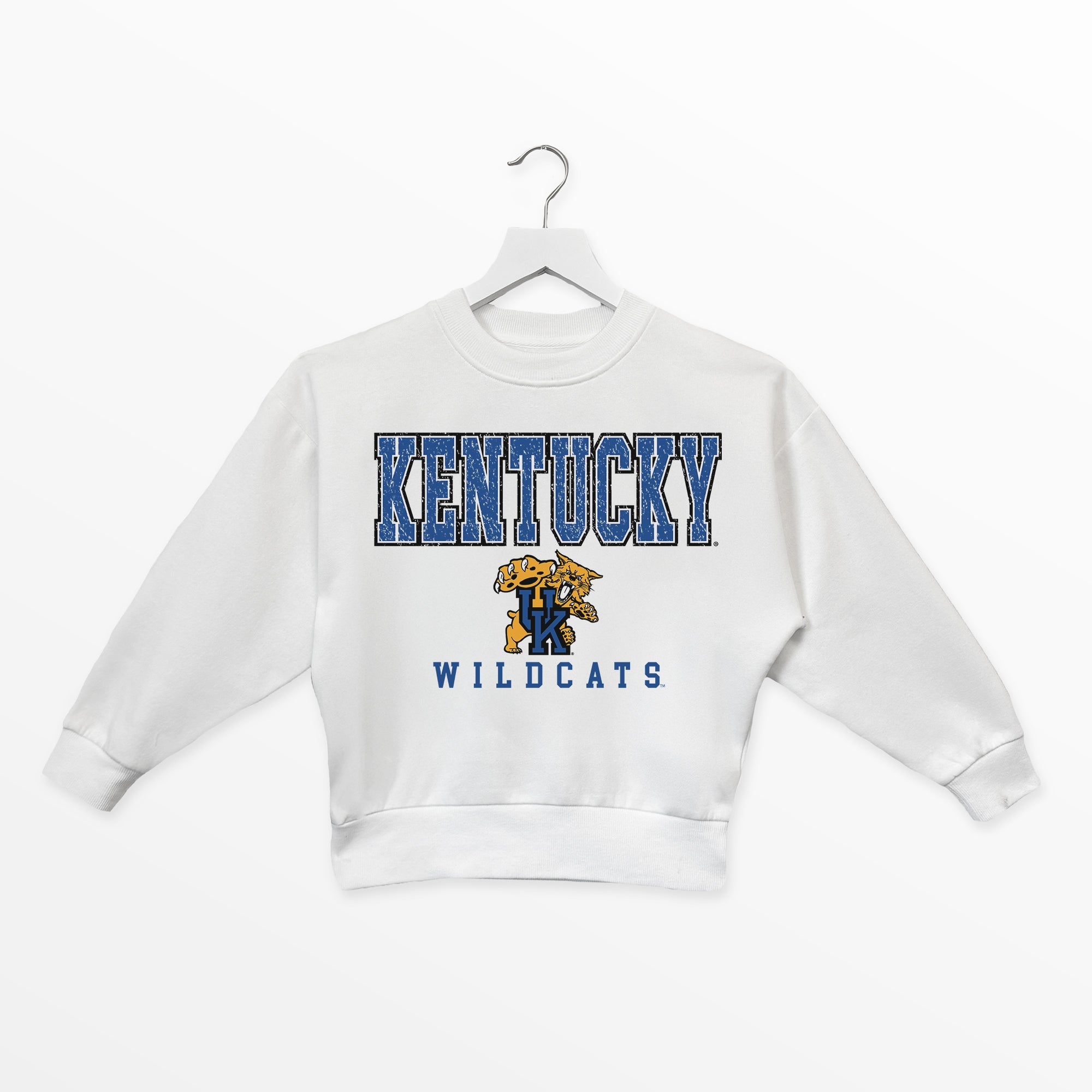 KENTUCKY WILDCATS FREESTYLE YOUTH PREMIUM FLEECE SWEATSHIRT