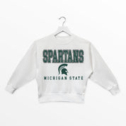 MICHIGAN STATE SPARTANS FREESTYLE YOUTH PREMIUM FLEECE SWEATSHIRT