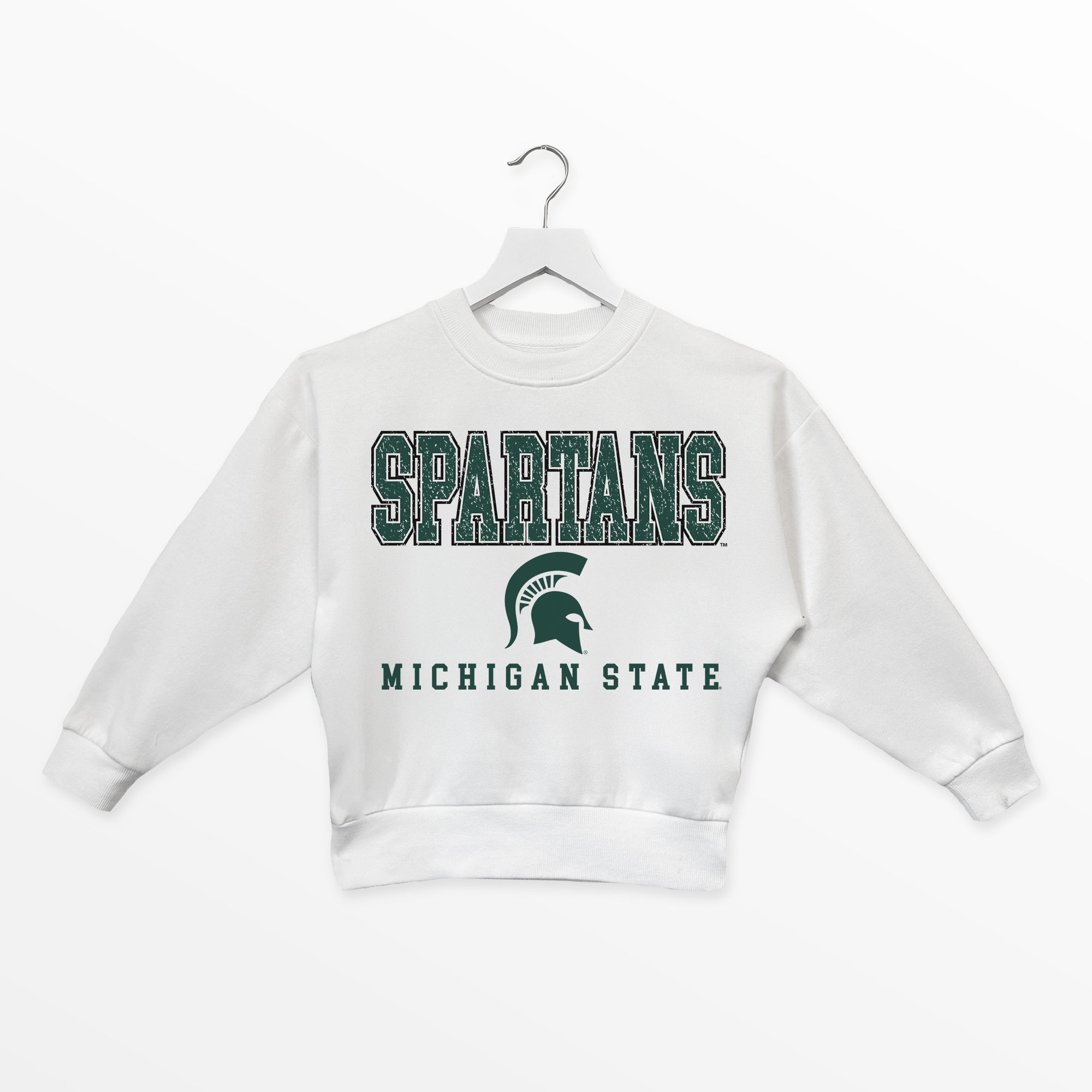 MICHIGAN STATE SPARTANS FREESTYLE YOUTH PREMIUM FLEECE SWEATSHIRT