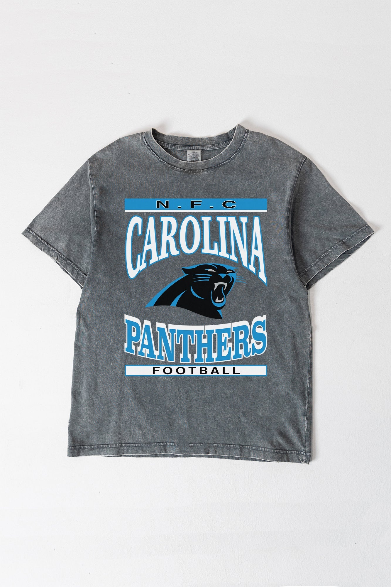 CAROLINA PANTHERS CLASSIC GRIND WASHED RELAXED FIT TEE