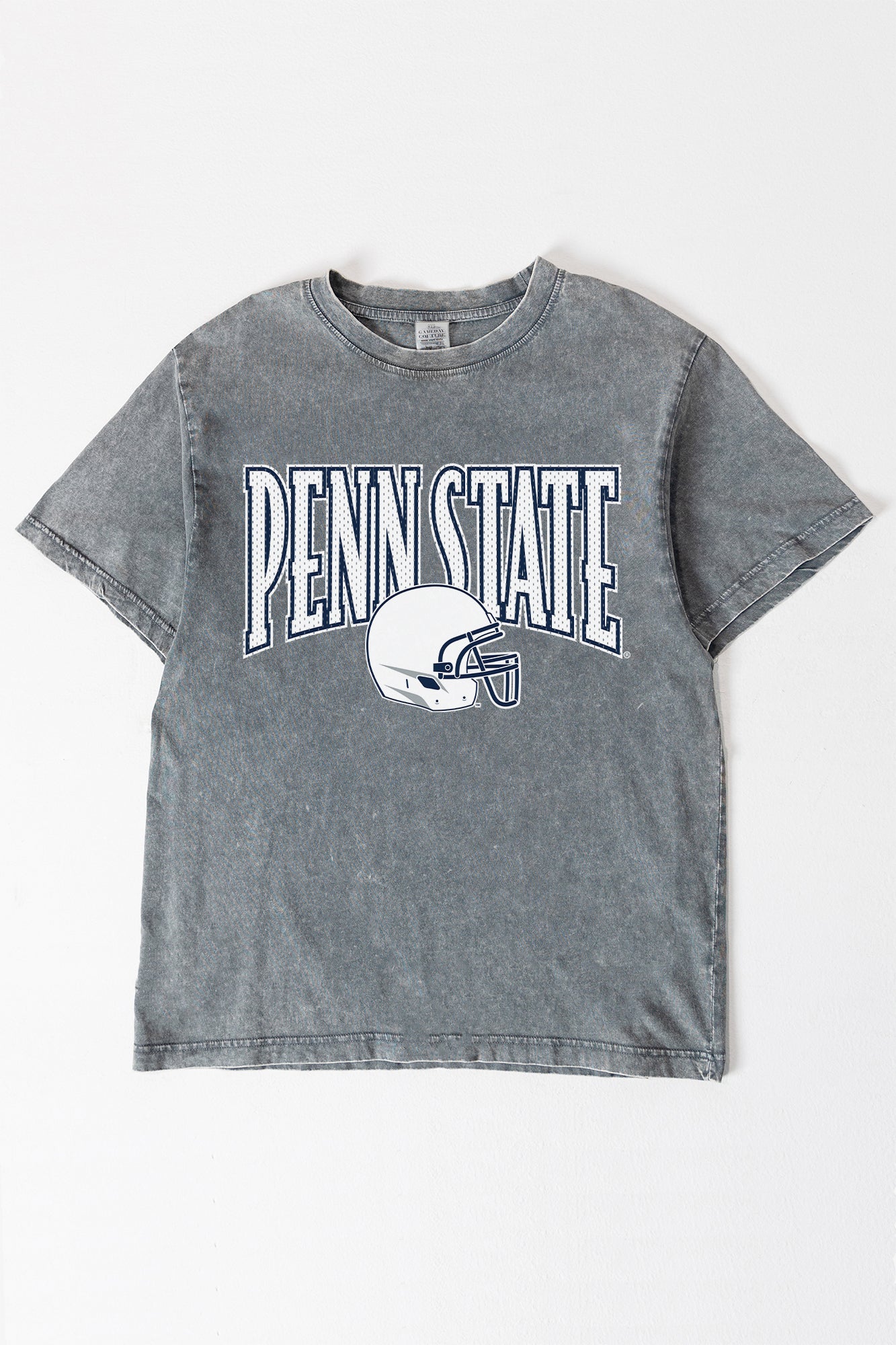 PENN STATE NITTANY LIONS PLAYBOOK WIN OVERSIZED CREWNECK TEE