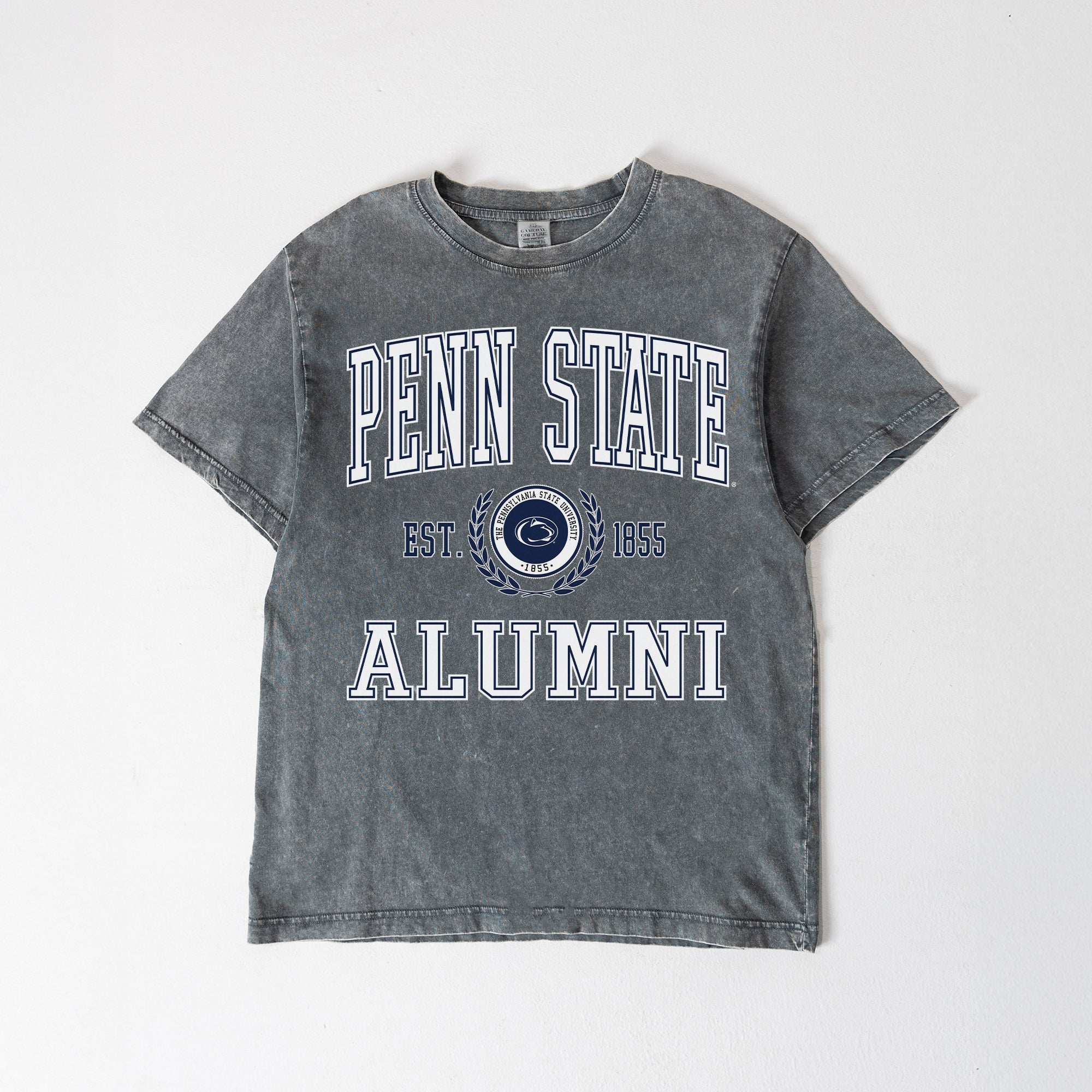 PENN STATE NITTANY LIONS DEGREE UNLOCKED WASHED RELAXED FIT TEE