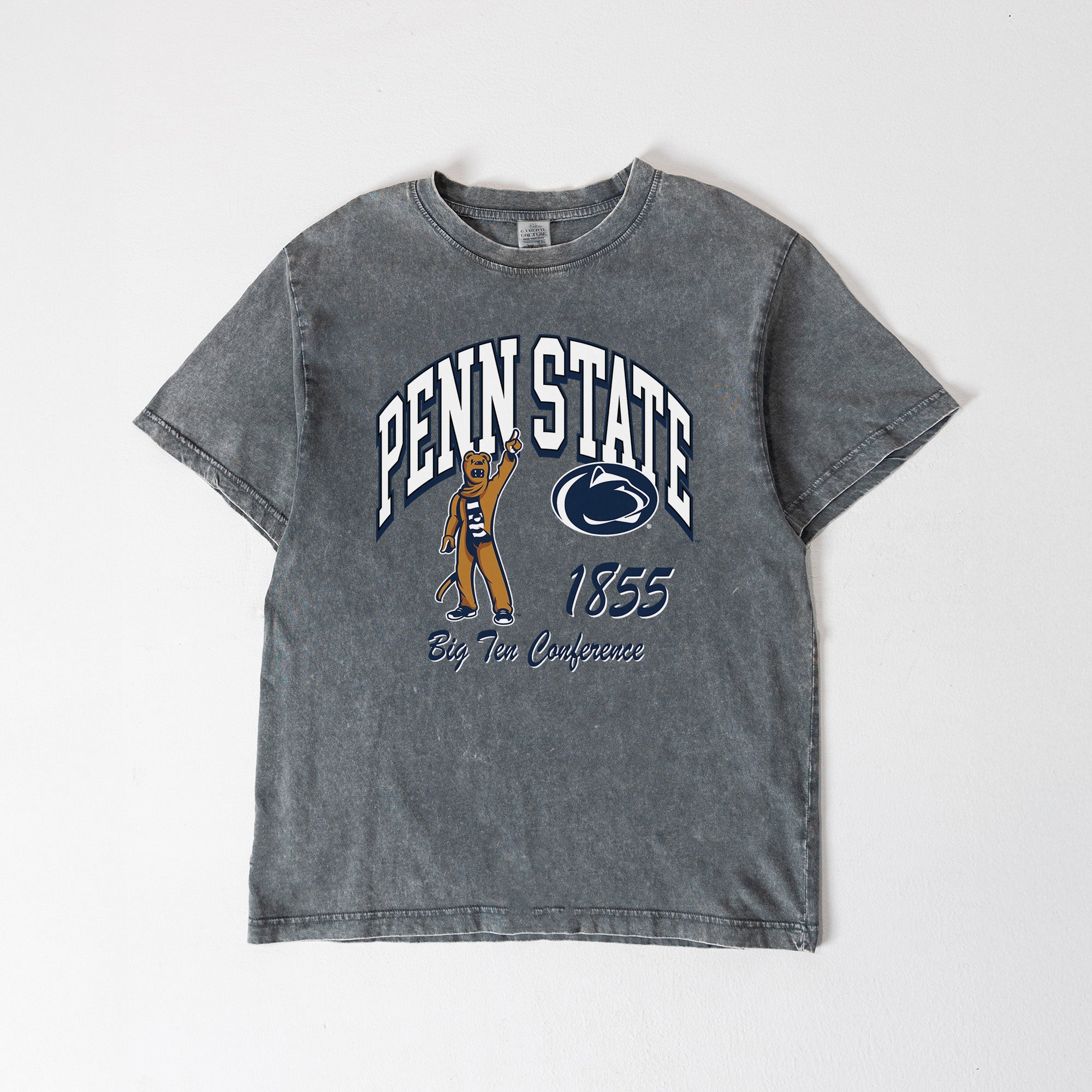 PENN STATE NITTANY LIONS CLASSIC MOTION WASHED RELAXED FIT TEE