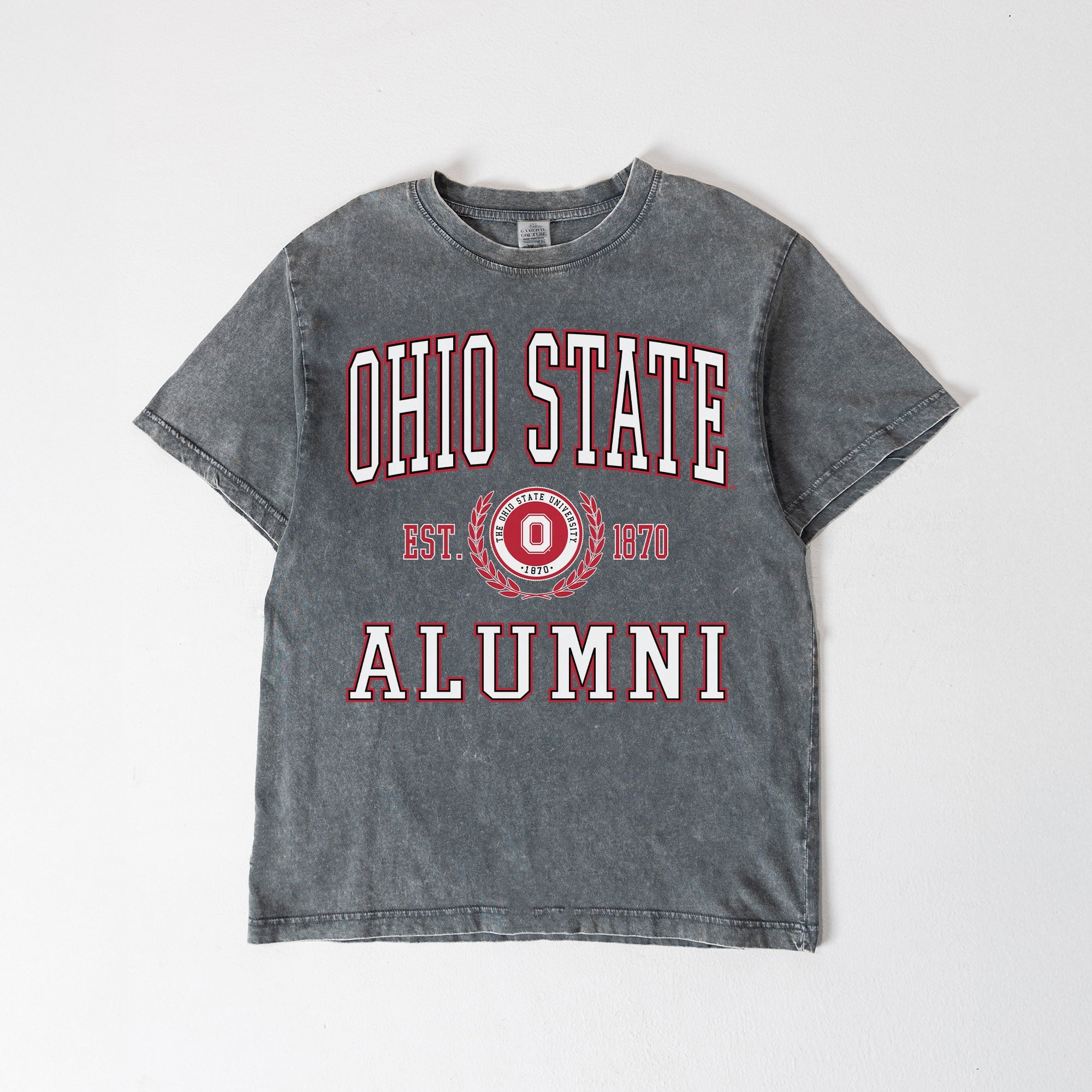 OHIO STATE BUCKEYES DEGREE UNLOCKED WASHED RELAXED FIT TEE