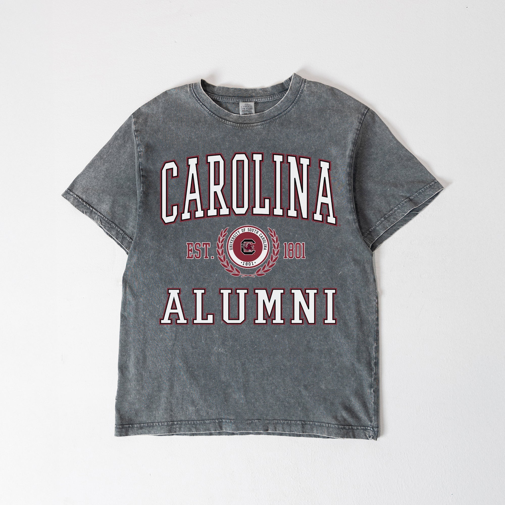 SOUTH CAROLINA GAMECOCKS DEGREE UNLOCKED WASHED RELAXED FIT TEE
