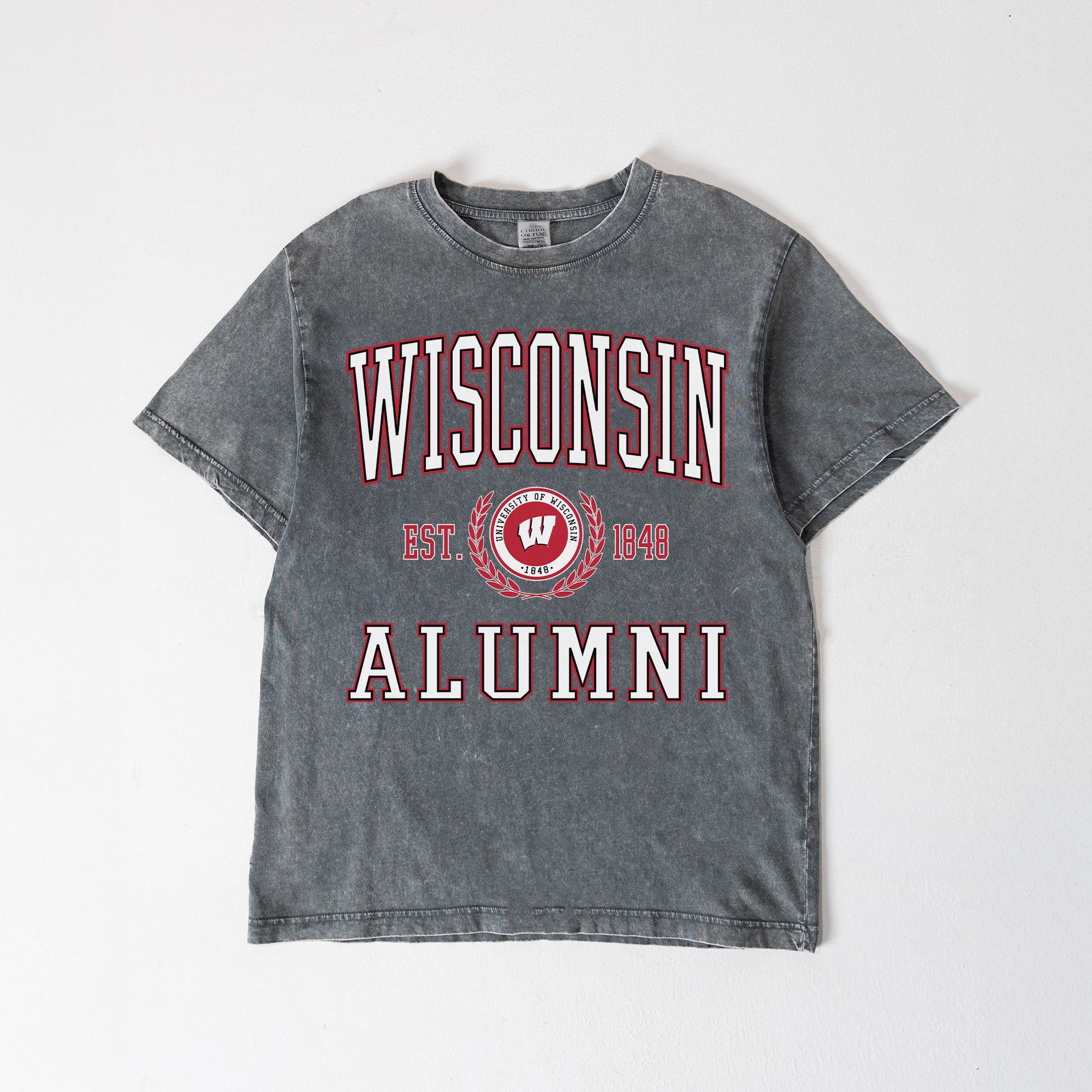 WISCONSIN BADGERS DEGREE UNLOCKED WASHED RELAXED FIT TEE
