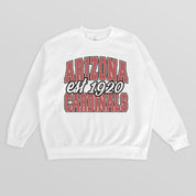 ARIZONA CARDINALS FADED FORMATION PREMIUM FLEECE CREWNECK PULLOVER