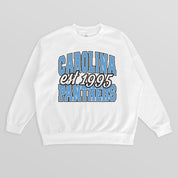 CAROLINA PANTHERS FADED FORMATION PREMIUM FLEECE CREWNECK PULLOVER