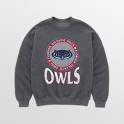 FLORIDA ATLANTIC OWLS SATURDAY SEAL PREMIUM FLEECE DROP SHOULDER CREWNECK PULLOVER