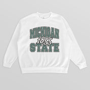 MICHIGAN STATE SPARTANS FADED FORMATION PREMIUM FLEECE DROP SHOULDER CREWNECK PULLOVER