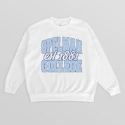 SPELMAN COLLEGE JAGUARS FADED FORMATION PREMIUM FLEECE DROP SHOULDER CREWNECK PULLOVER