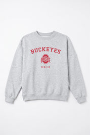 OHIO STATE BUCKEYES CAMPUS ENERGY PREMIUM FLEECE CREWNECK PULLOVER