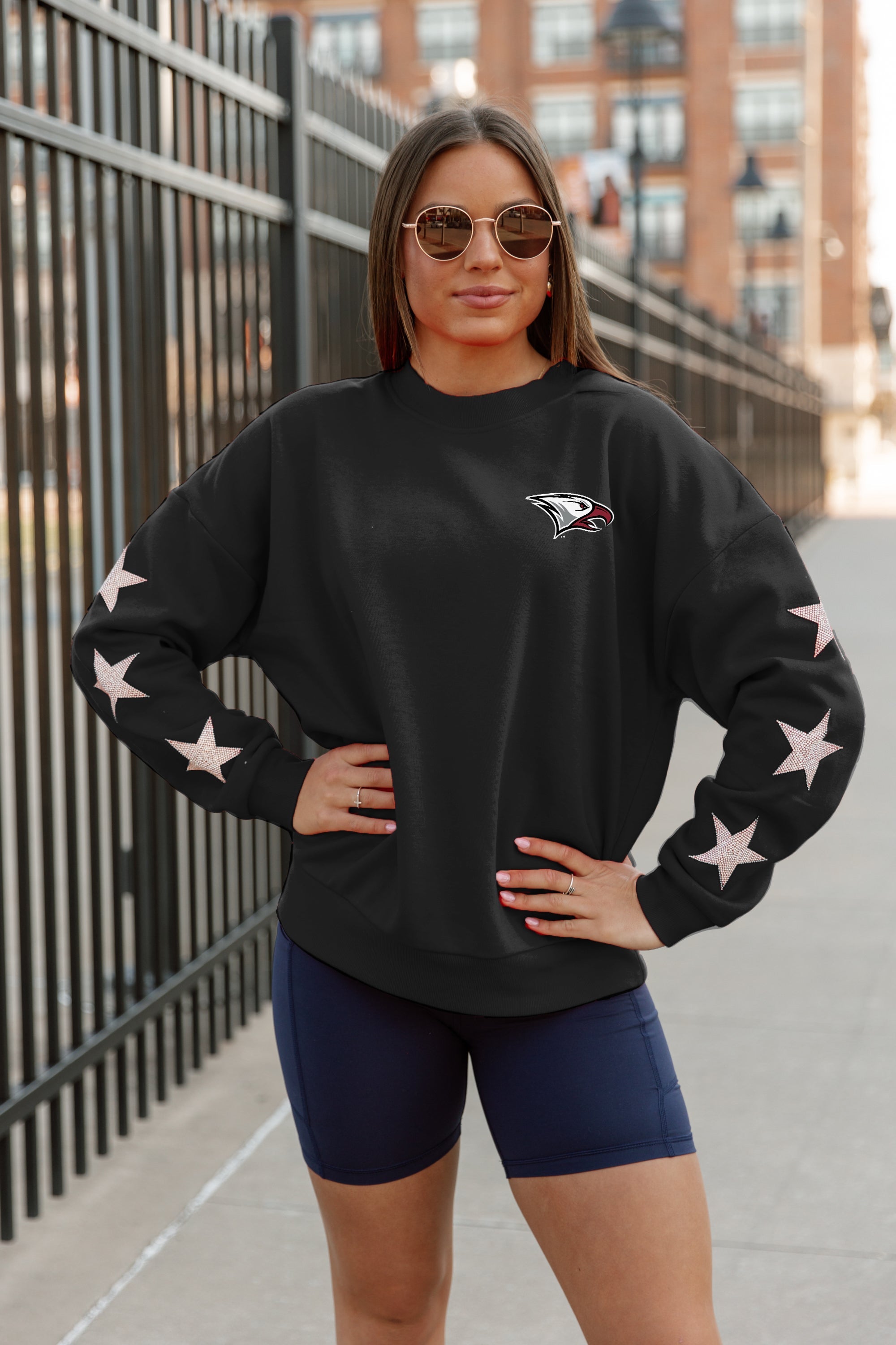 NORTH CAROLINA CENTRAL EAGLES DEDICATION EMBELLISHED STAR SLEEVE CREWNECK PULLOVER