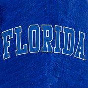 FLORIDA GATORS MAKE A MOVE MOCK NECK CHENILLE PULLOVER