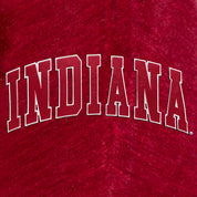 INDIANA HOOSIERS MAKE A MOVE MOCK NECK CHENILLE PULLOVER