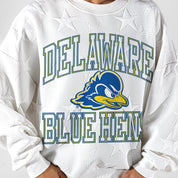 DELAWARE BLUE HENS BIG PLAY ENERGY EMBOSSED STAR CREWNECK
