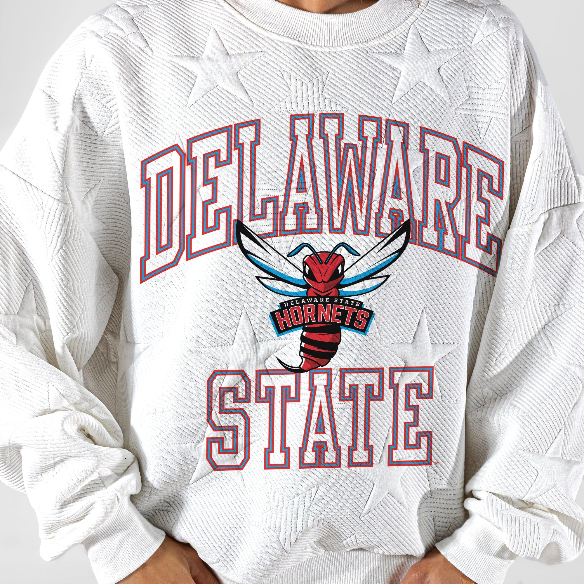 DELAWARE STATE HORNETS BIG PLAY ENERGY EMBOSSED STAR CREWNECK