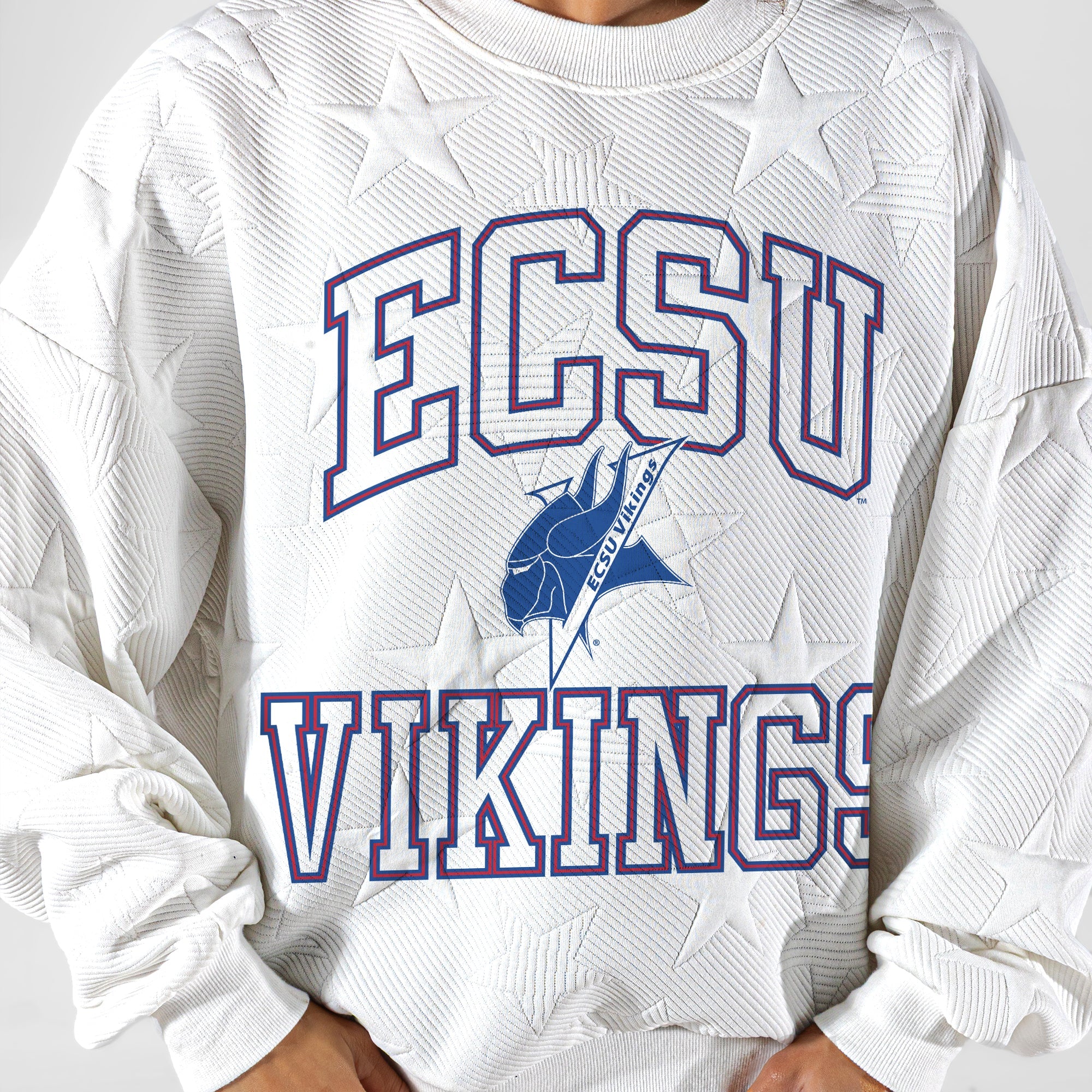 ELIZABETH CITY STATE UNIVERSITY VIKINGS BIG PLAY ENERGY EMBOSSED STAR CREWNECK