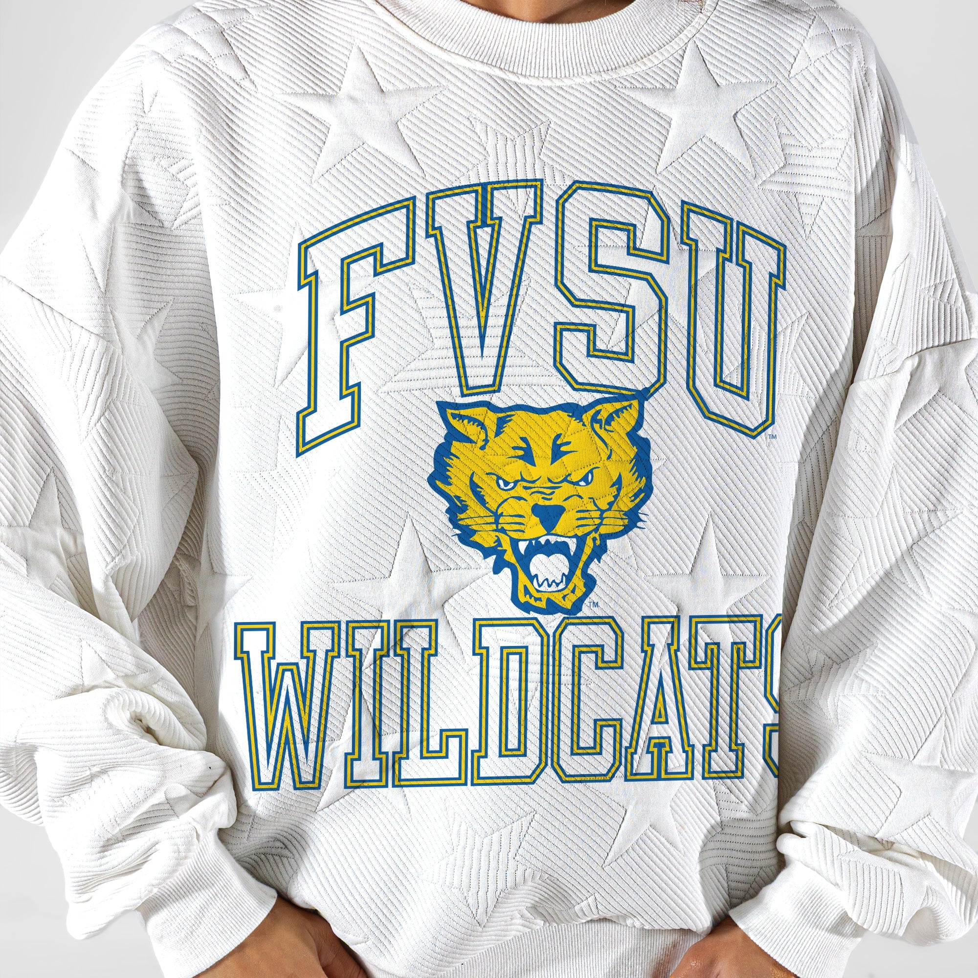 FORT VALLEY STATE WILDCATS BIG PLAY ENERGY EMBOSSED STAR CREWNECK