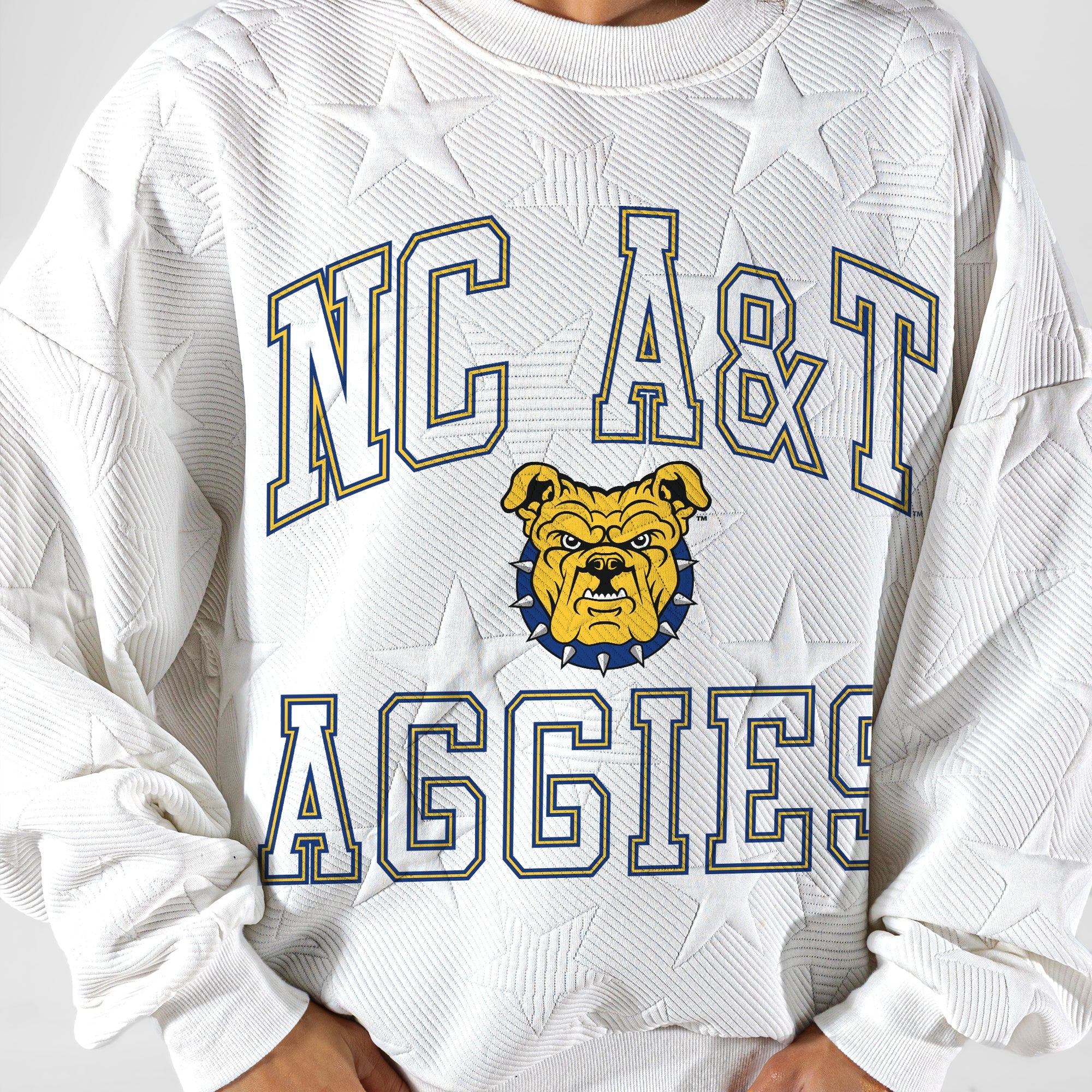 NORTH CAROLINA A&T STATE AGGIES BIG PLAY ENERGY EMBOSSED STAR CREWNECK