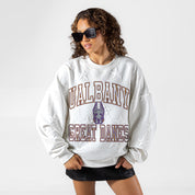 ALBANY GREAT DANES BIG PLAY ENERGY EMBOSSED STAR CREWNECK