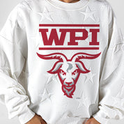 WORCESTER POLYTECHNIC INSTITUTE GOATS BIG PLAY ENERGY EMBOSSED STAR CREWNECK