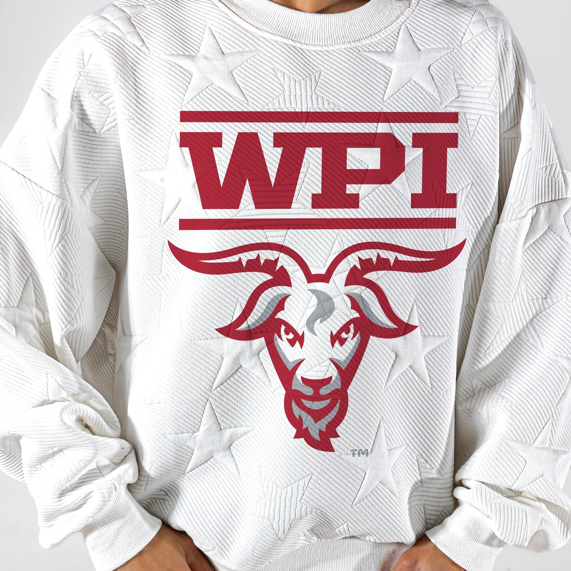 WORCESTER POLYTECHNIC INSTITUTE GOATS BIG PLAY ENERGY EMBOSSED STAR CREWNECK