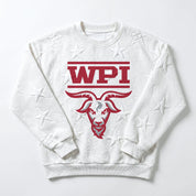 WORCESTER POLYTECHNIC INSTITUTE GOATS BIG PLAY ENERGY EMBOSSED STAR CREWNECK