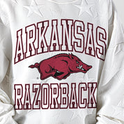 ARKANSAS RAZORBACKS BIG PLAY ENERGY KIDS EMBOSSED STAR CREWNECK