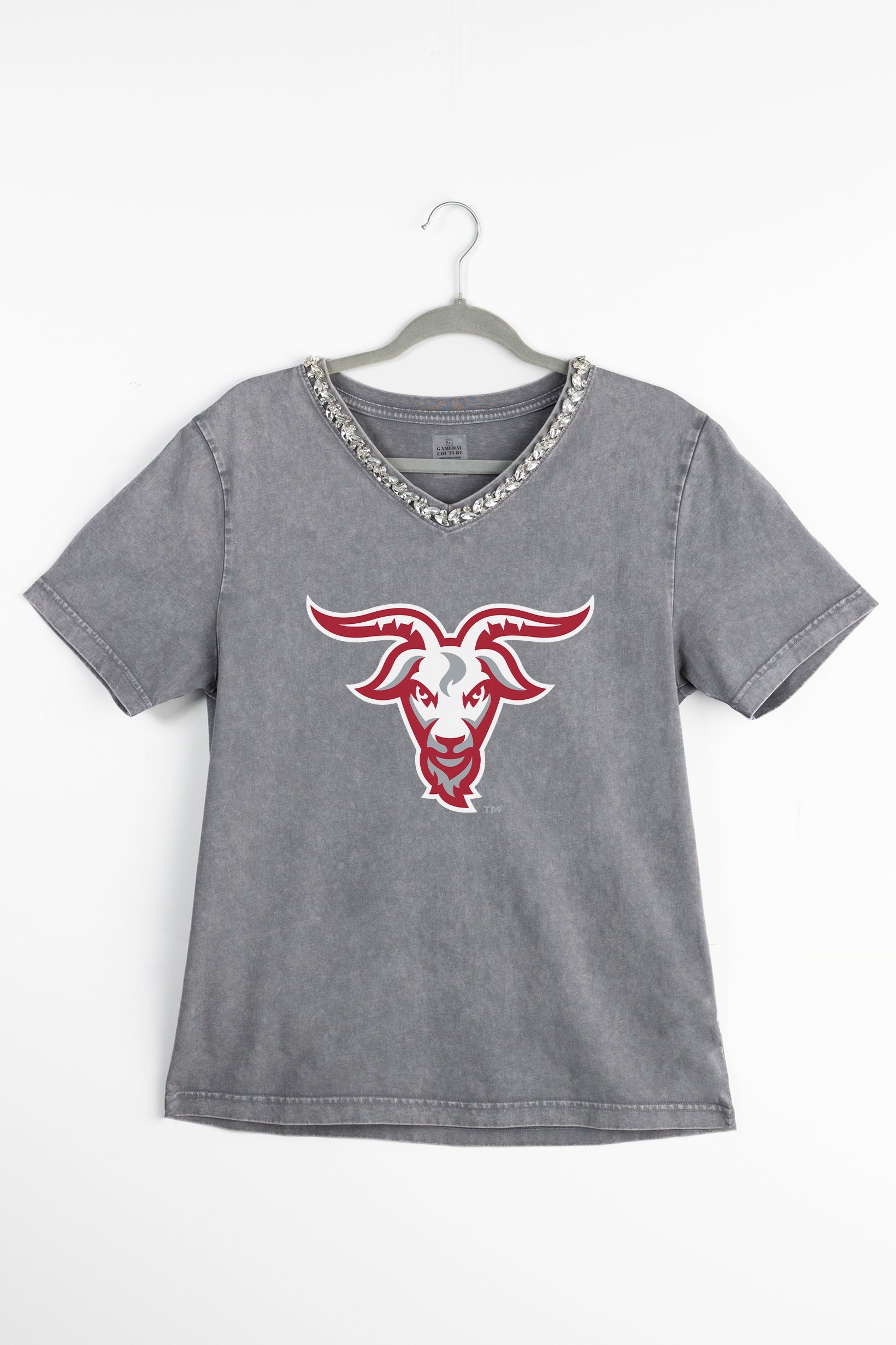 WORCESTER POLYTECHNIC INSTITUTE GOATS ICONIC EDGE RHINESTONE TRIM V-NECK TEE