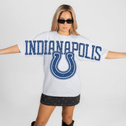 INDIANAPOLIS COLTS DRIP CULTURE RELAXED FIT CREWNECK TEE