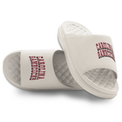 South Carolina Gamecocks Stacked ISlide x Gameday Couture