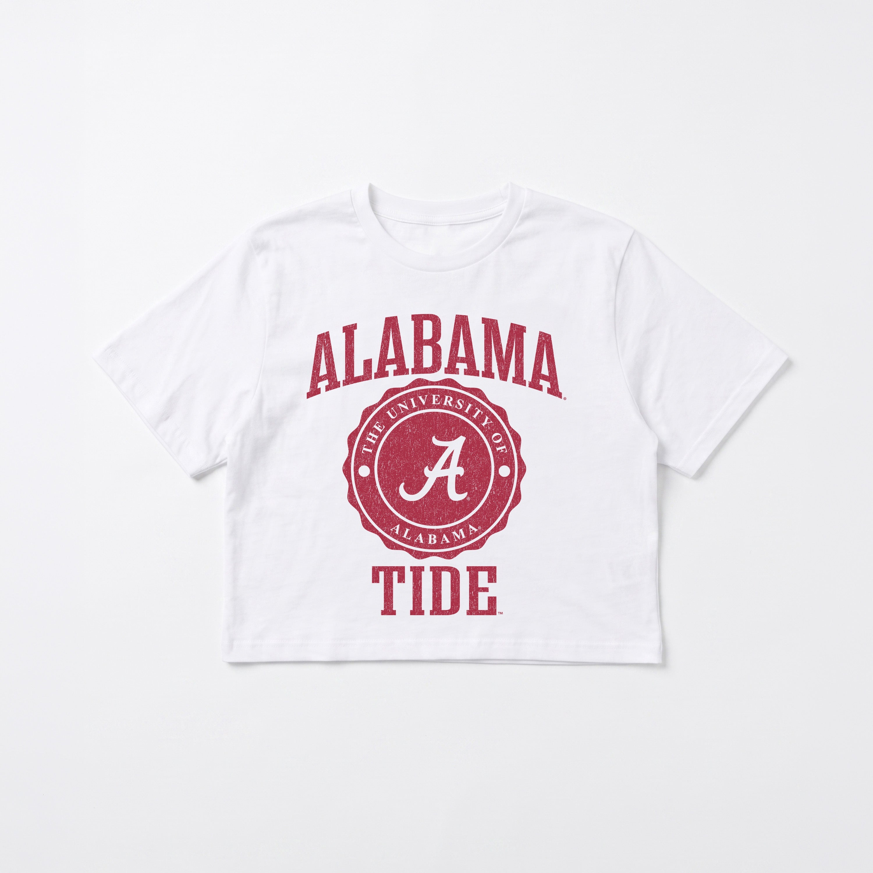 ALABAMA CRIMSON TIDE RETRO PLAY BOXY FIT CROPPED TEE