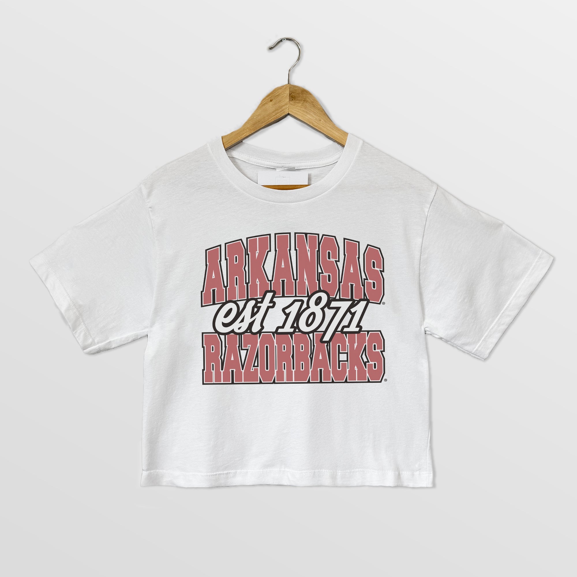 ARKANSAS RAZORBACKS DEEP ROOTS BOXY FIT WOMEN'S CROPPED TEE