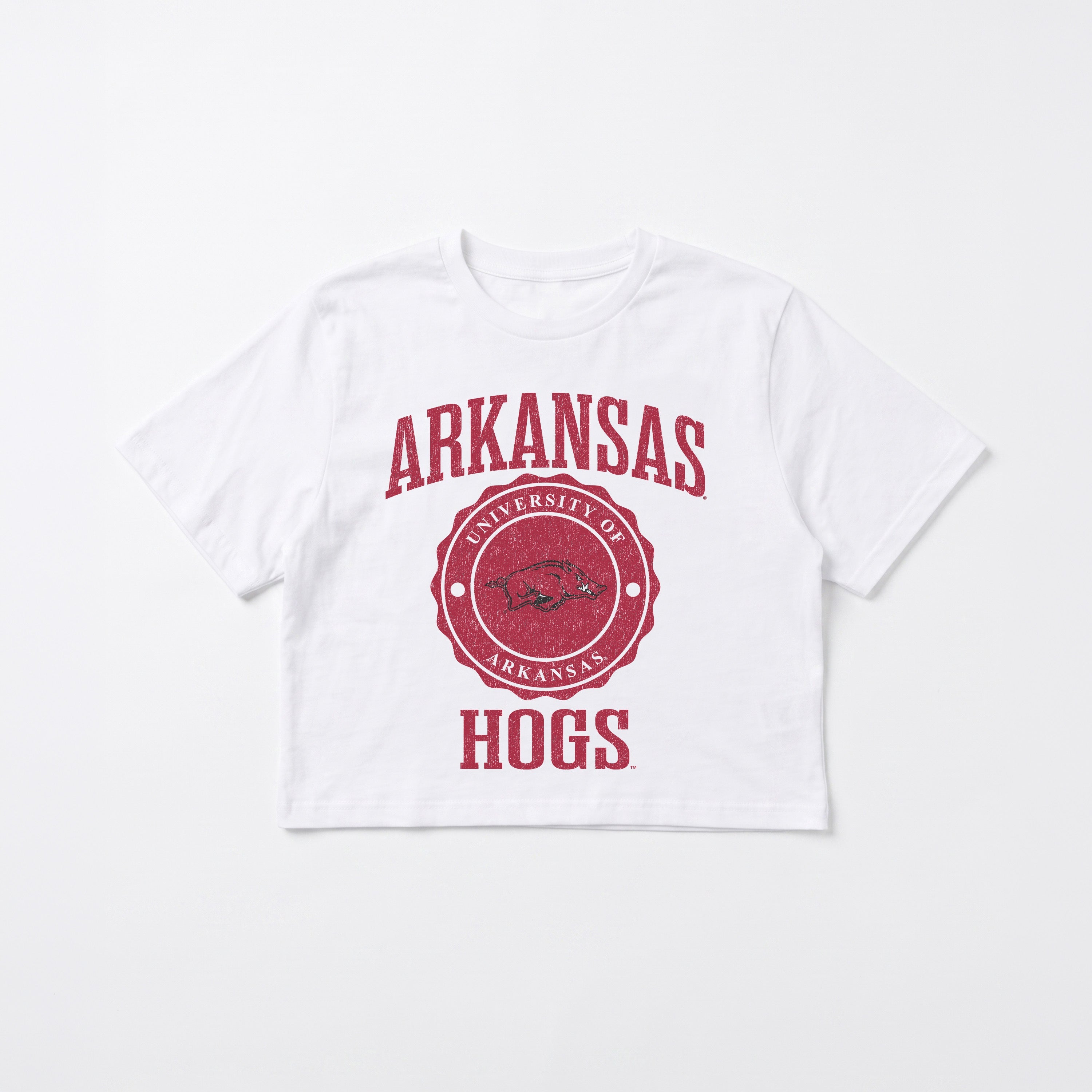 ARKANSAS RAZORBACKS RETRO PLAY BOXY FIT CROPPED TEE