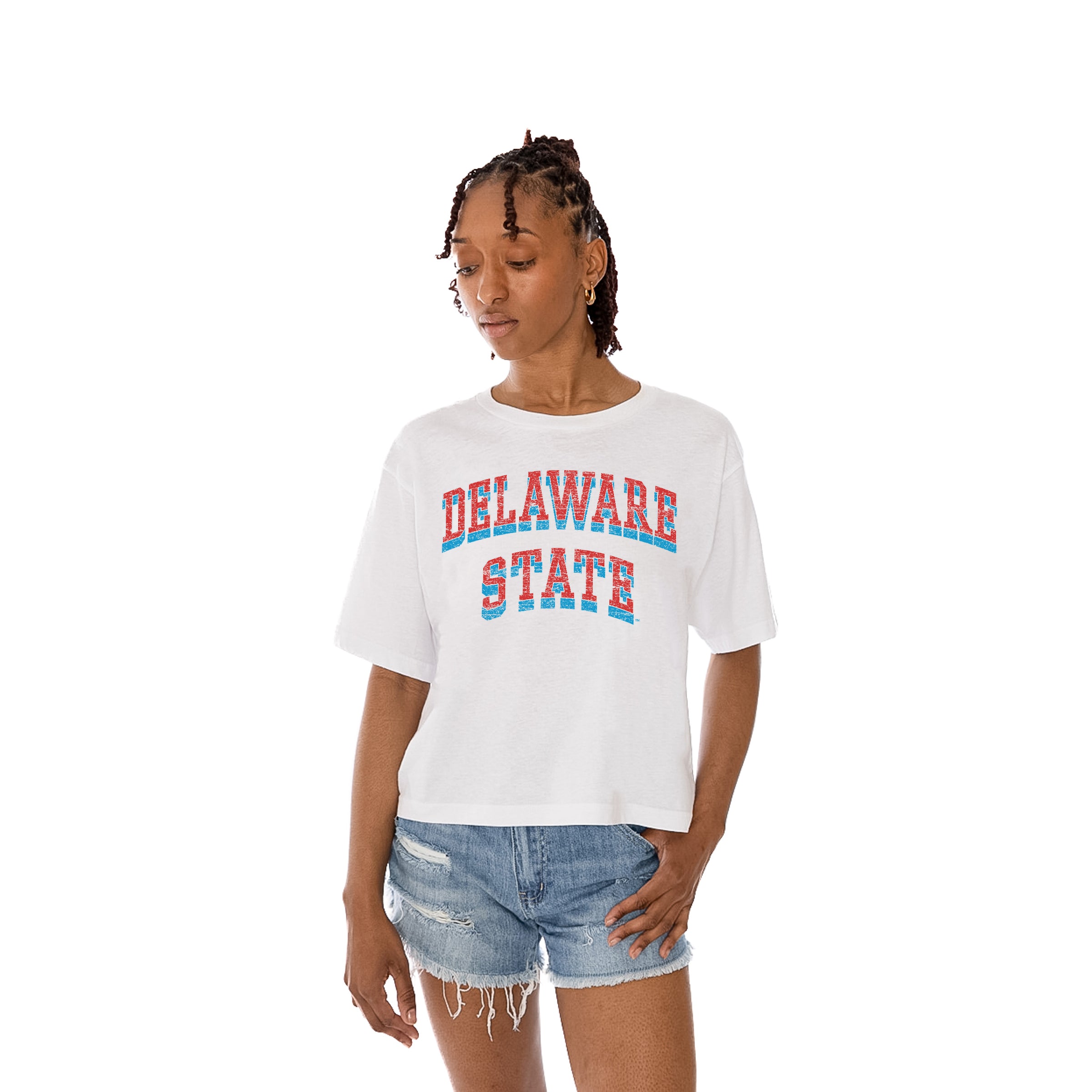 DELAWARE STATE HORNETS Claim To Fame Boxy-Fit Crop Tee