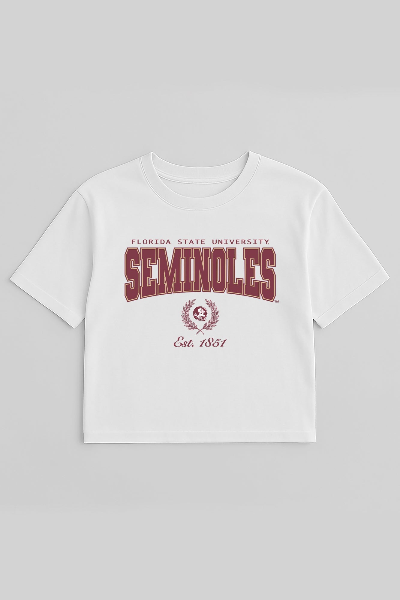 FLORIDA STATE SEMINOLES EASY WIN BOXY FIT CROP TEE