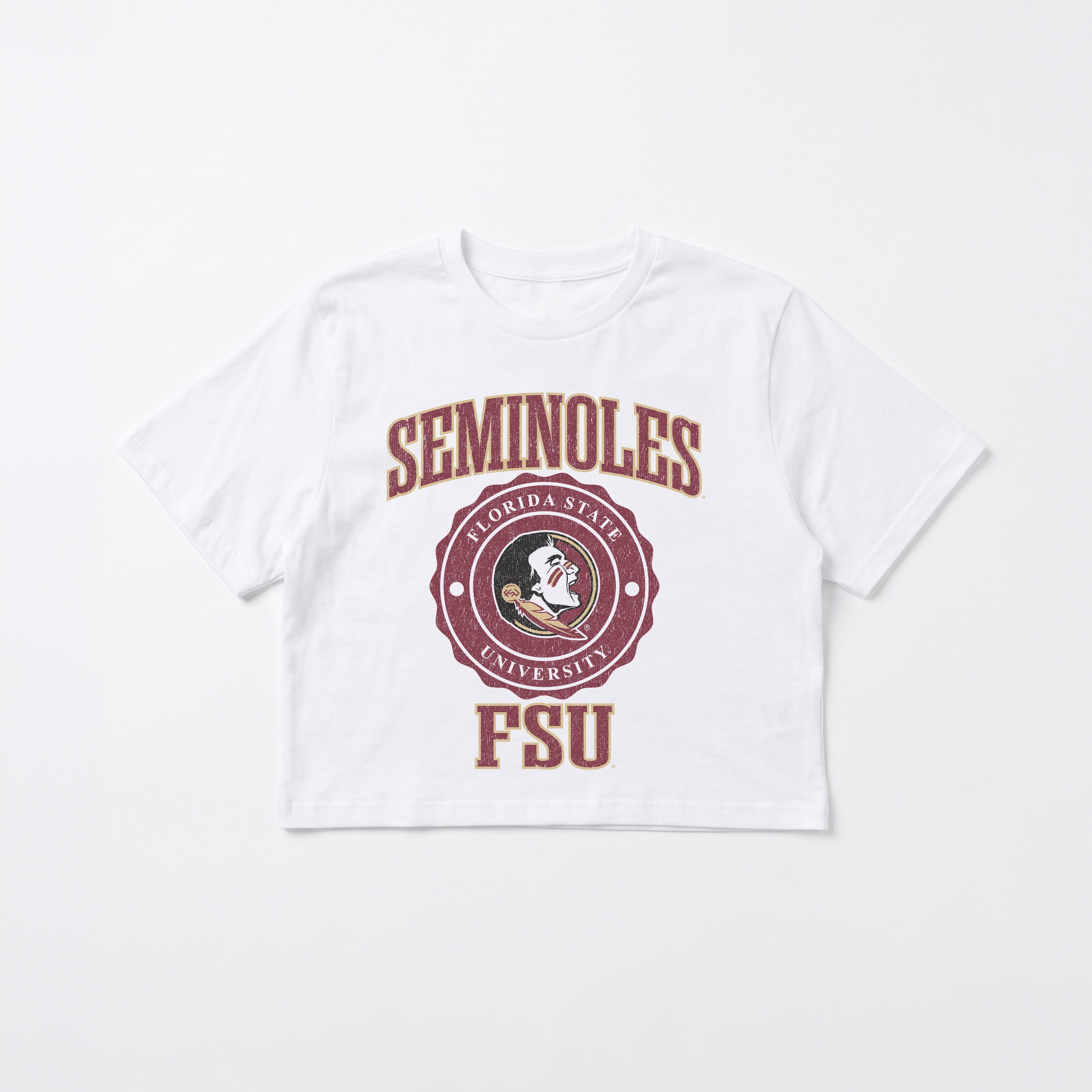 FLORIDA STATE SEMINOLES RETRO PLAY BOXY FIT CROPPED TEE