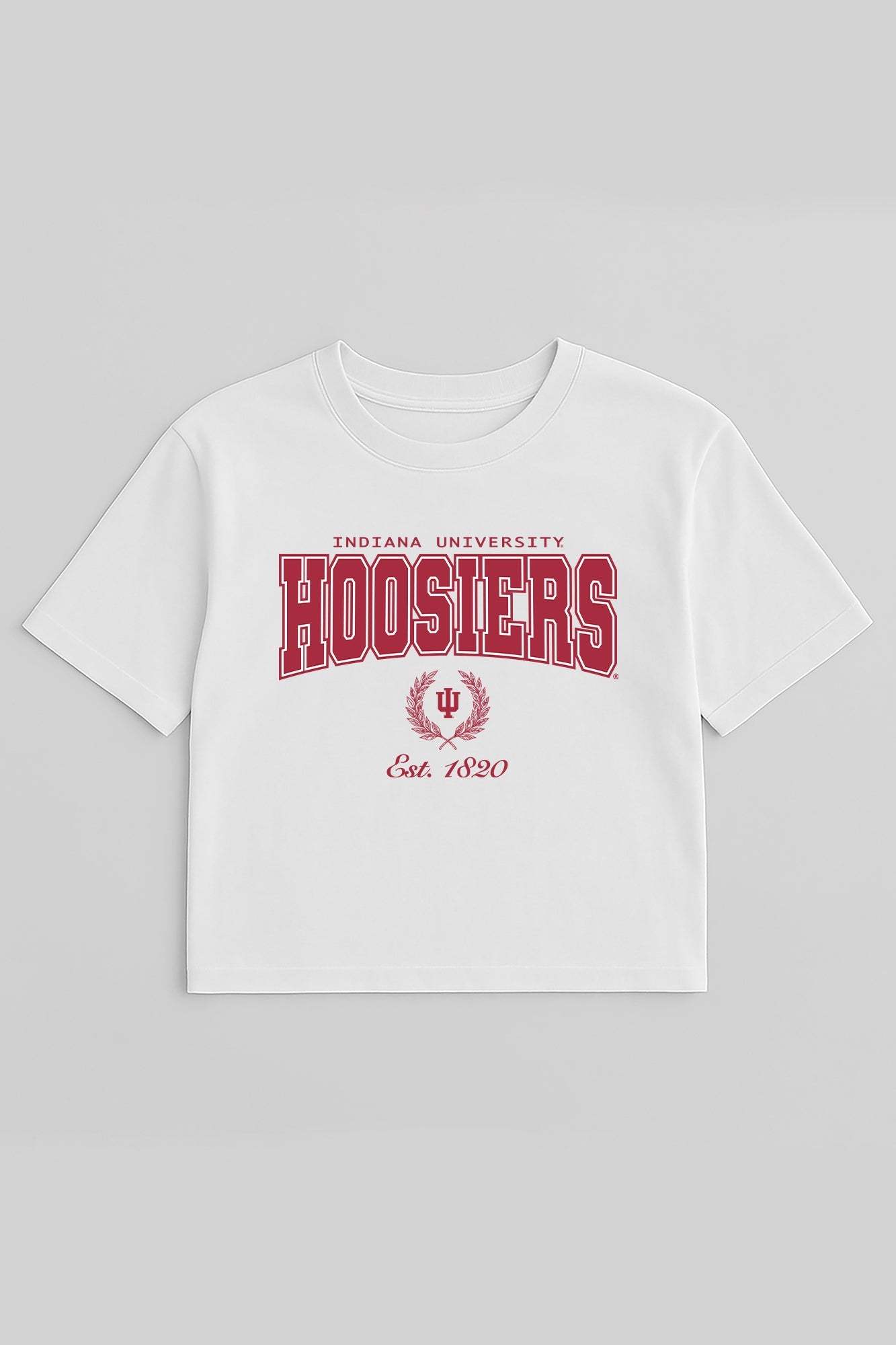 INDIANA HOOSIERS EASY WIN BOXY FIT CROP TEE