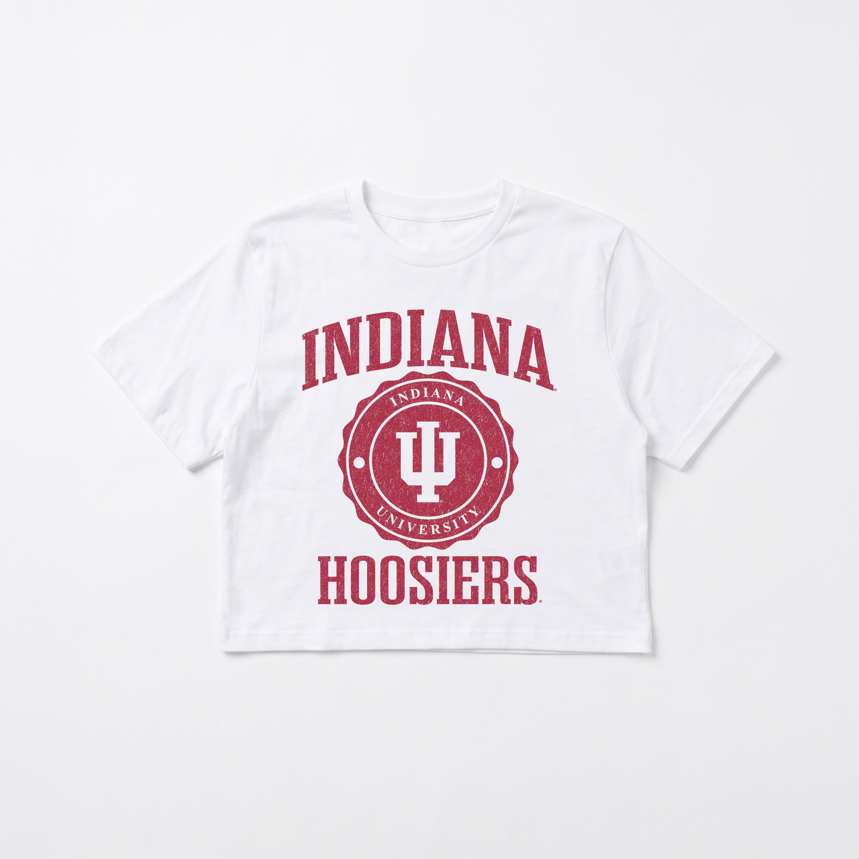INDIANA HOOSIERS RETRO PLAY BOXY FIT CROPPED TEE
