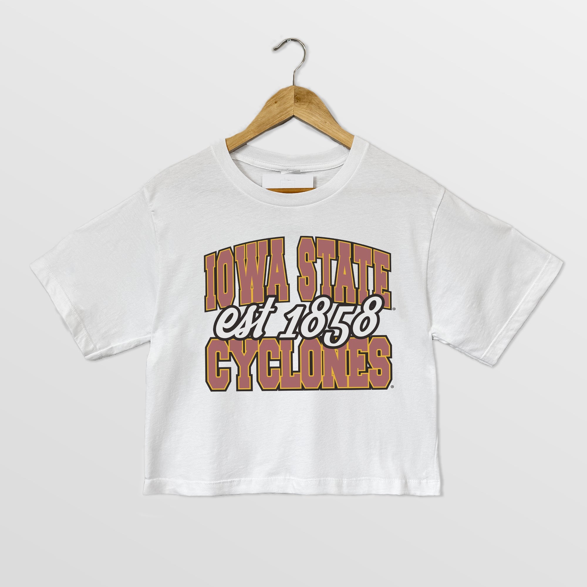 IOWA STATE CYCLONES DEEP ROOTS BOXY FIT WOMEN'S CROPPED TEE