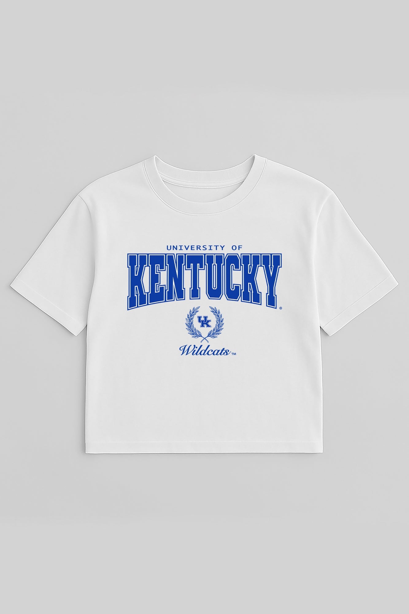 KENTUCKY WILDCATS EASY WIN BOXY FIT CROP TEE