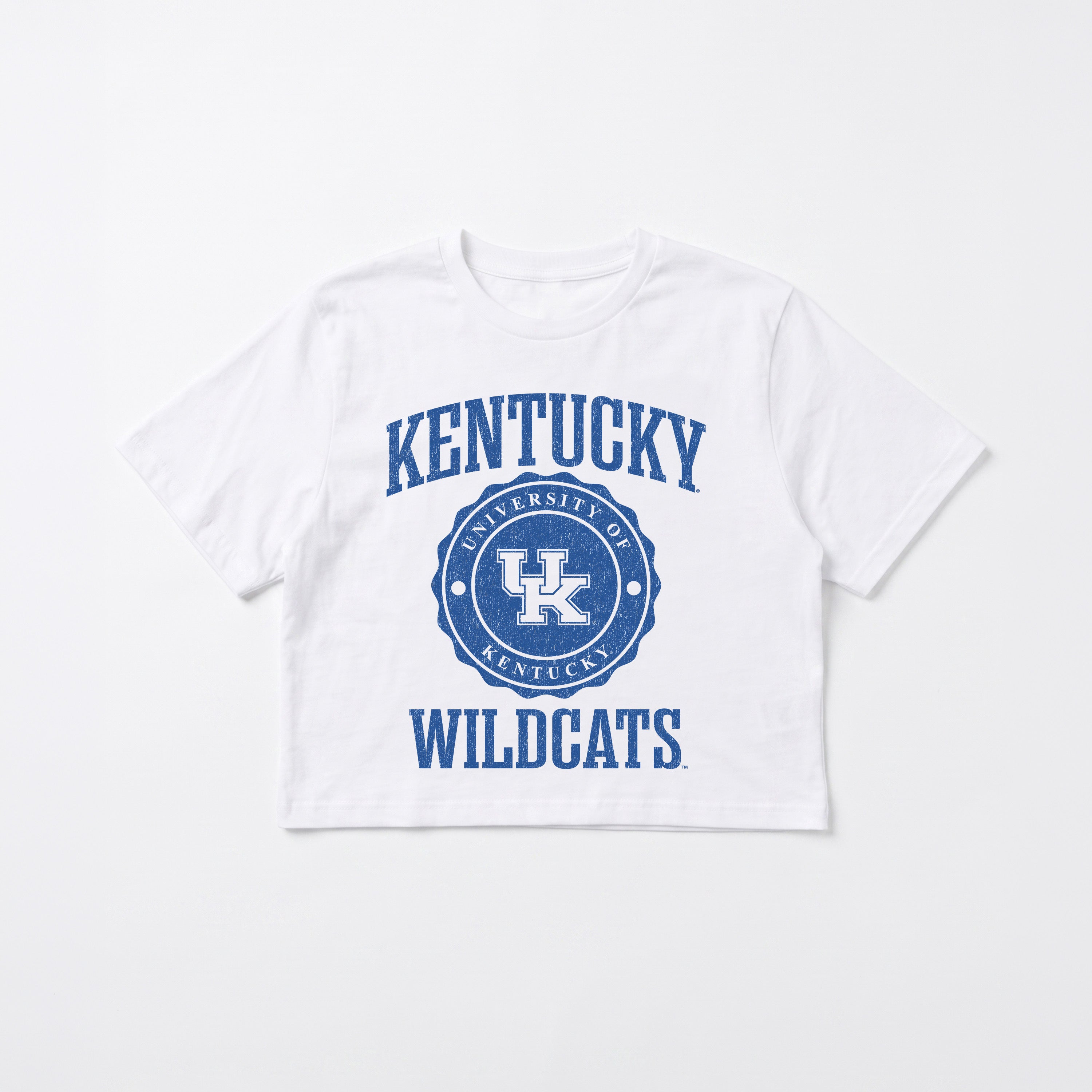 KENTUCKY WILDCATS RETRO PLAY BOXY FIT CROPPED TEE