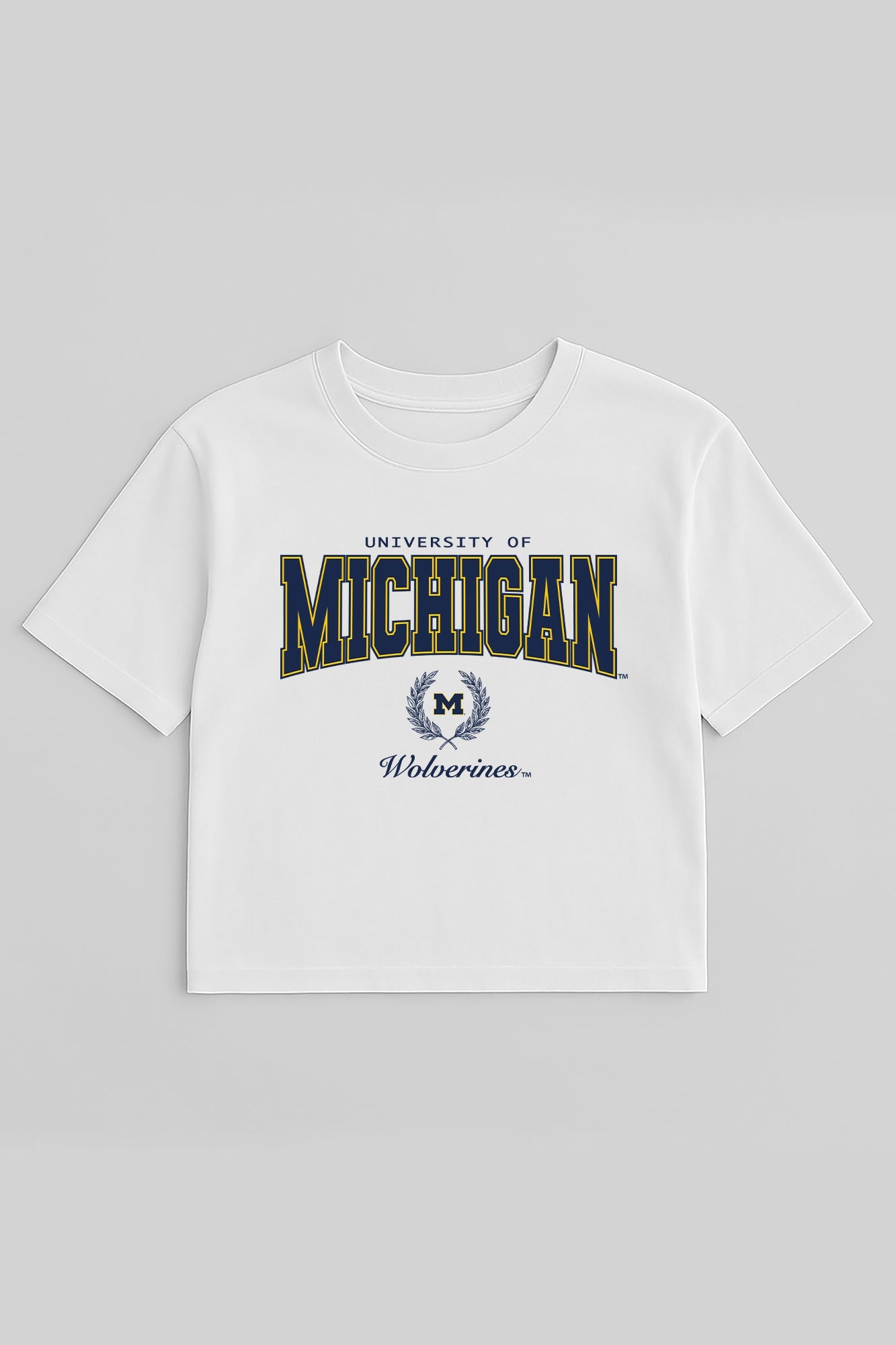 MICHIGAN WOLVERINES EASY WIN BOXY FIT CROP TEE