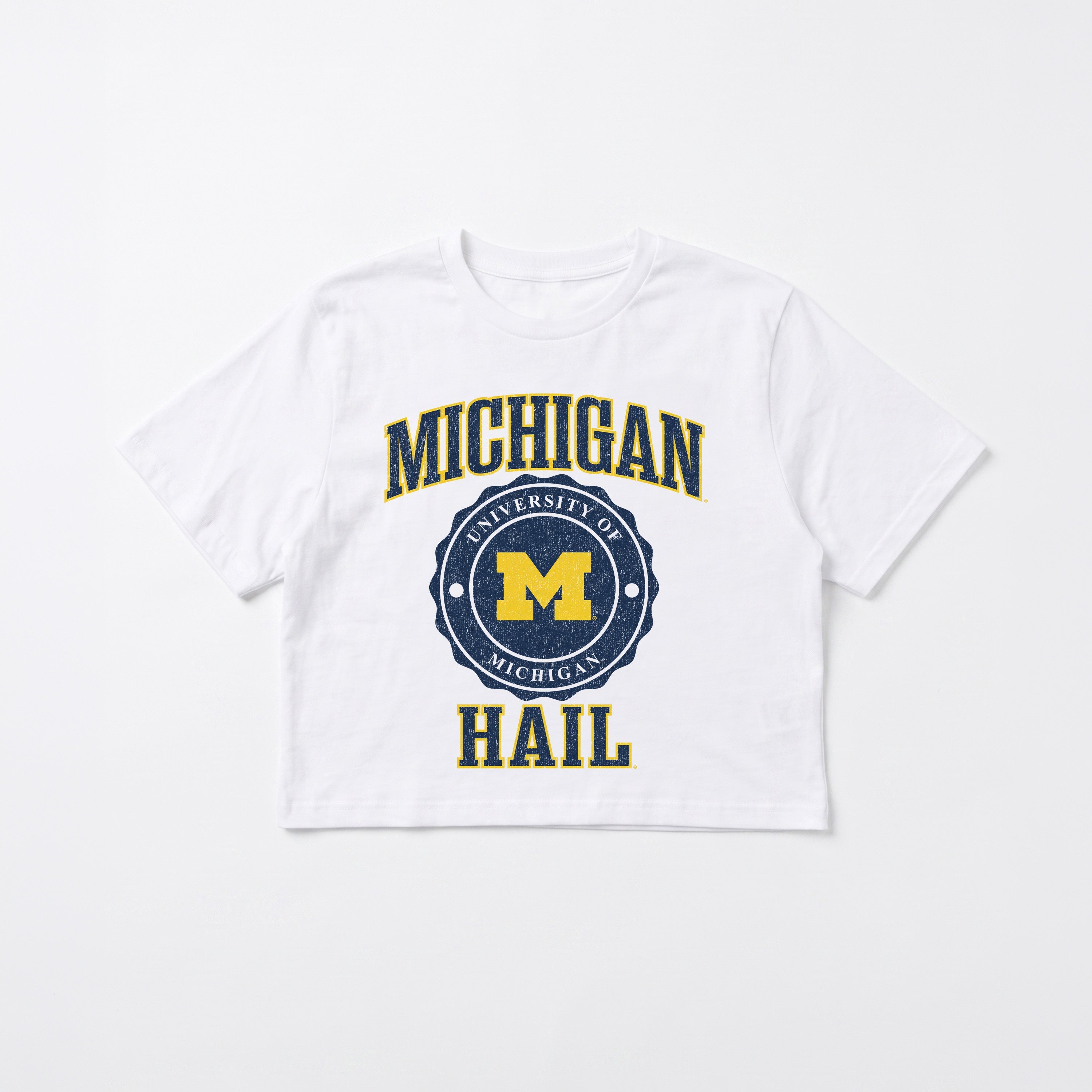 MICHIGAN WOLVERINES RETRO PLAY BOXY FIT CROPPED TEE