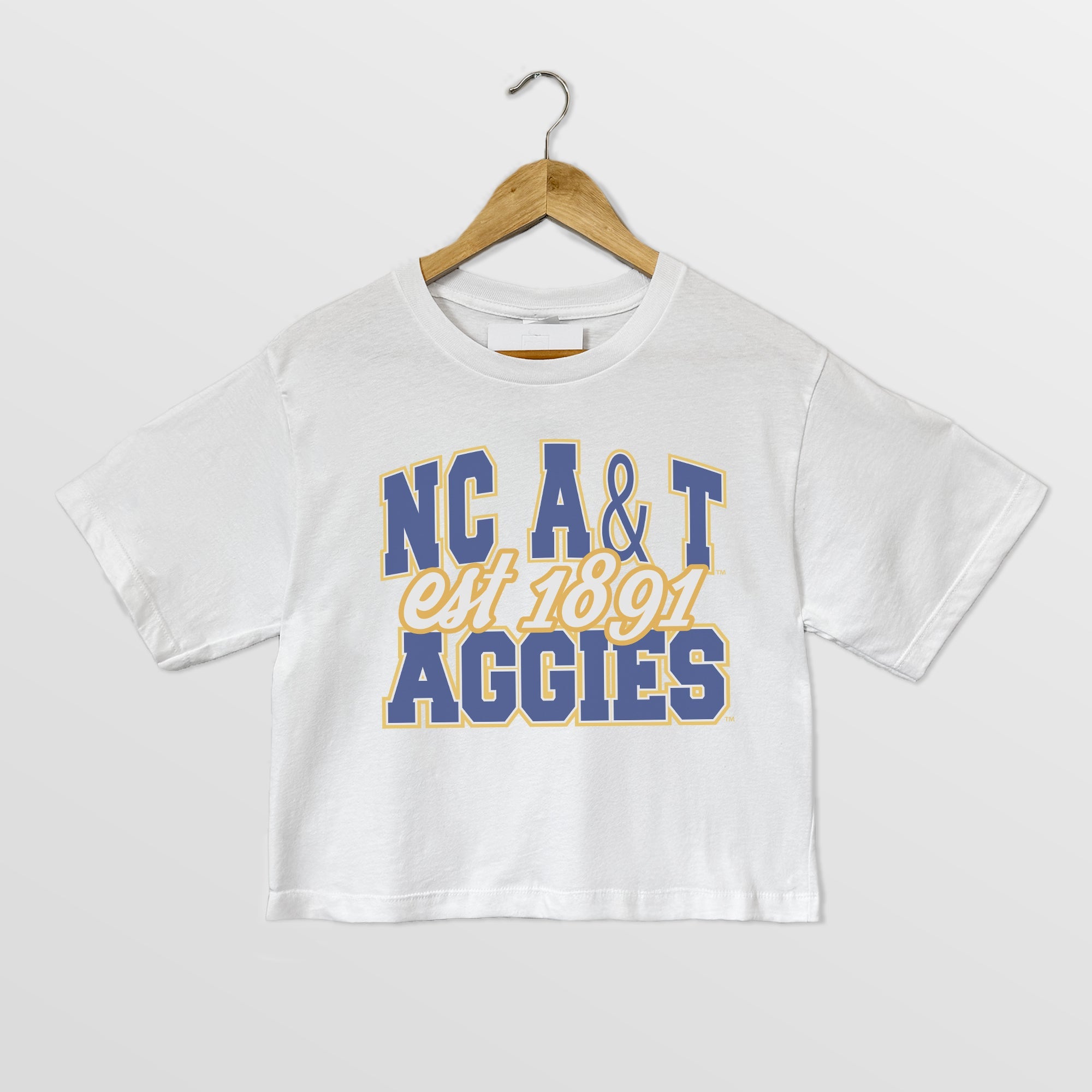 NORTH CAROLINA A&T STATE AGGIES DEEP ROOTS BOXY FIT WOMEN'S CROPPED TEE