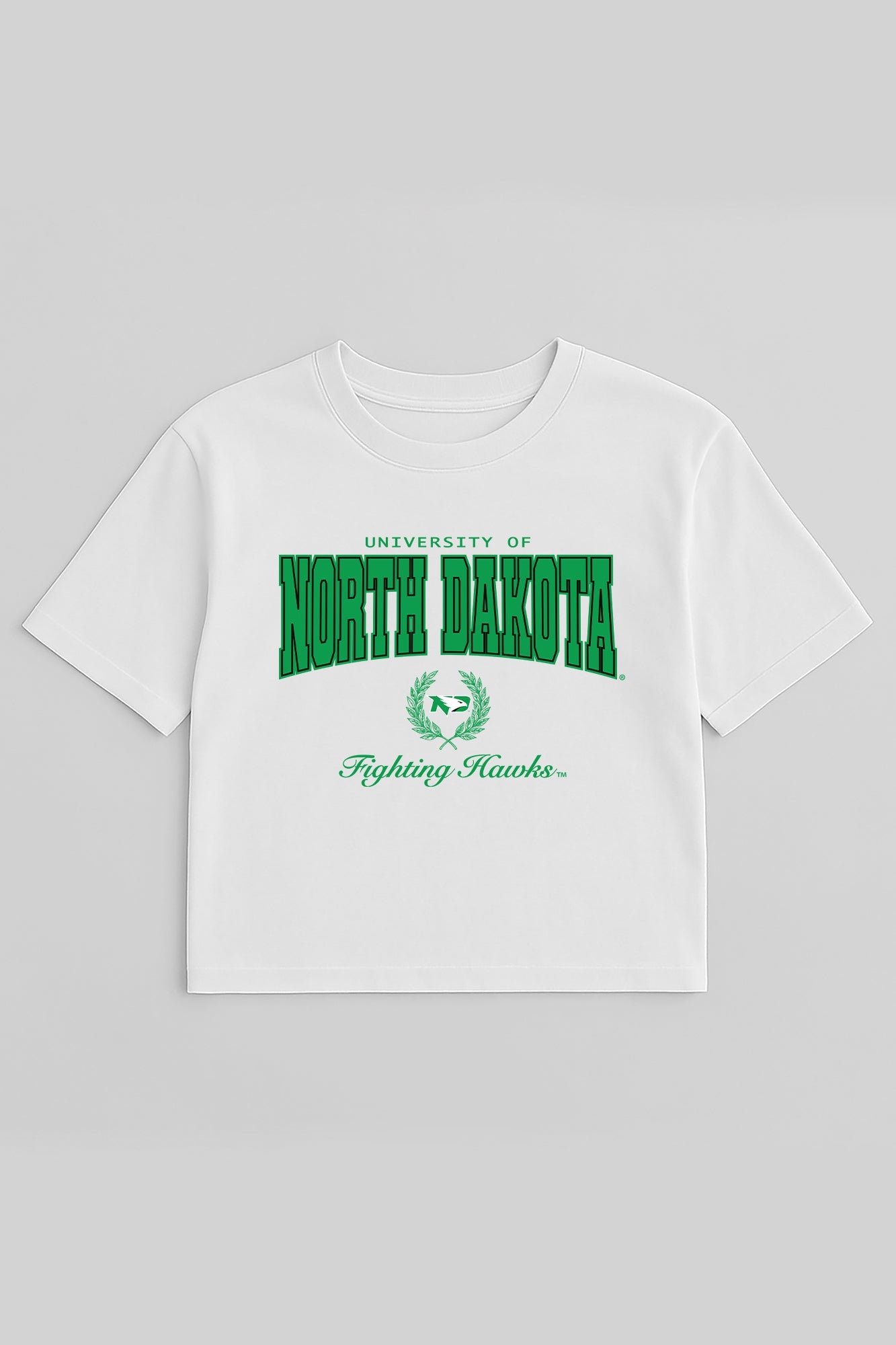 NORTH DAKOTA FIGHTING HAWKS EASY WIN BOXY FIT CROP TEE